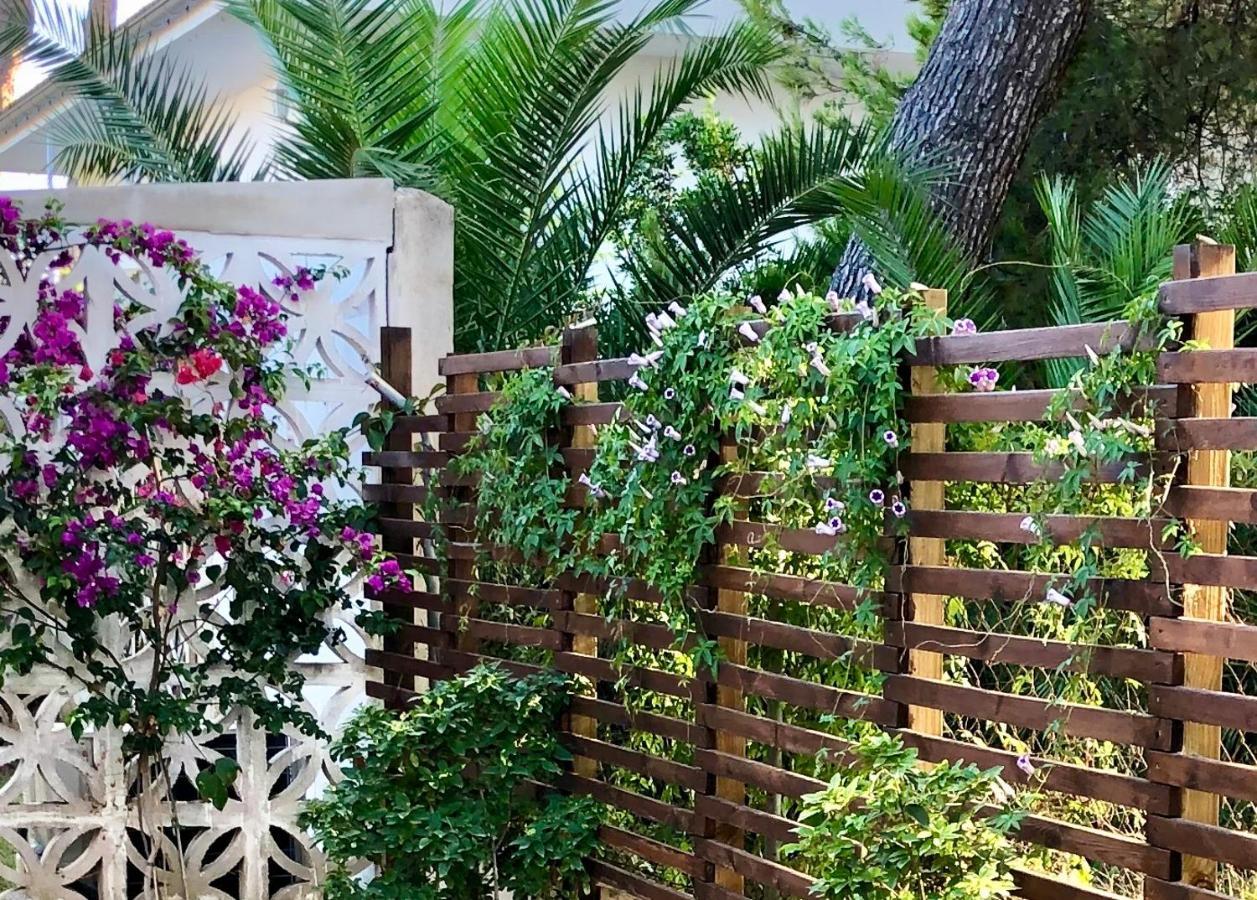 Villa Can Ordinas Alcudia  Bagian luar foto